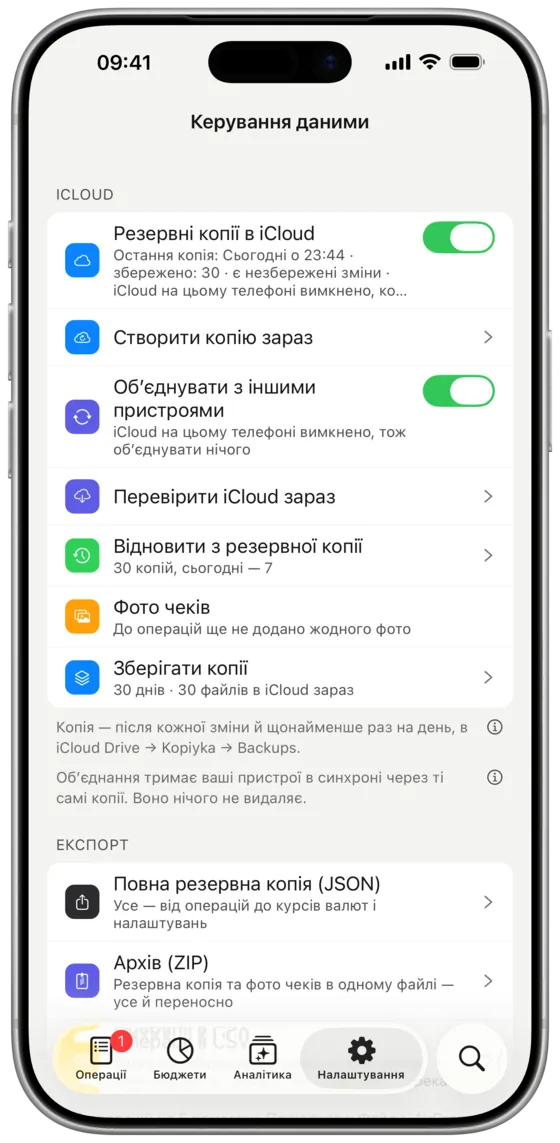 Керування даними: резервні копії в iCloud, експорт і фото чеків